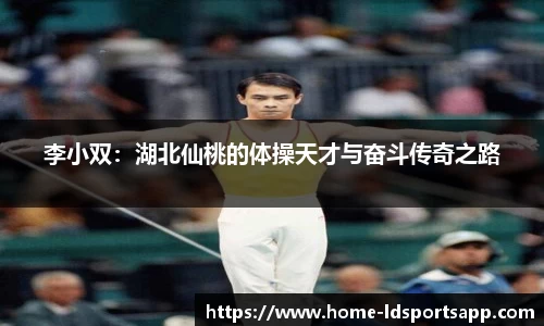 LD乐动体育官网