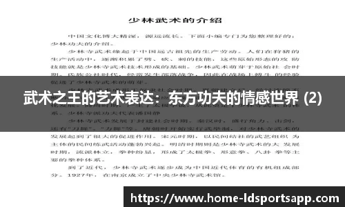 武术之王的艺术表达：东方功夫的情感世界 (2)
