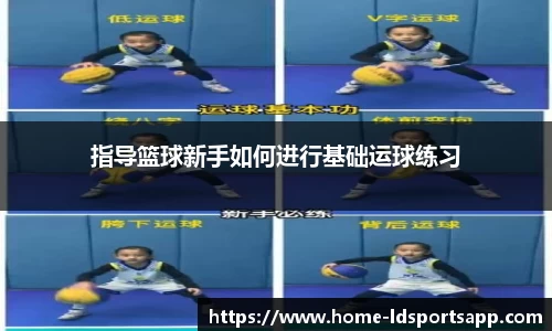 LD乐动体育app