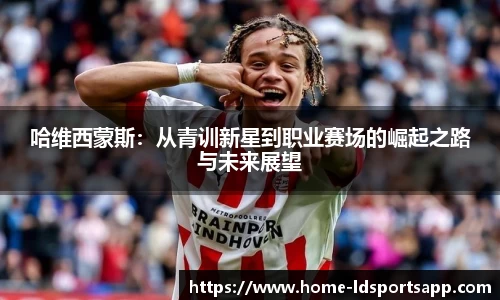 LD乐动体育